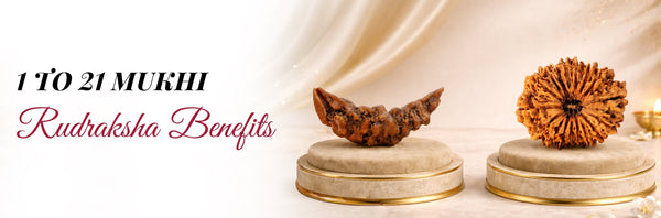 1 to 21 Mukhi Rudraksha Benefits