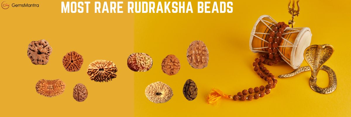 most rare rudraksha beads