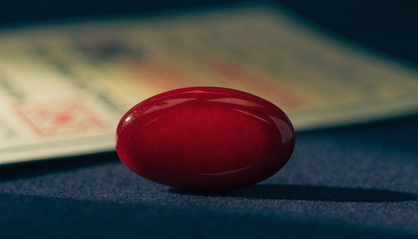Red Coral (Moonga): Benefits, Price & Who Should Wear