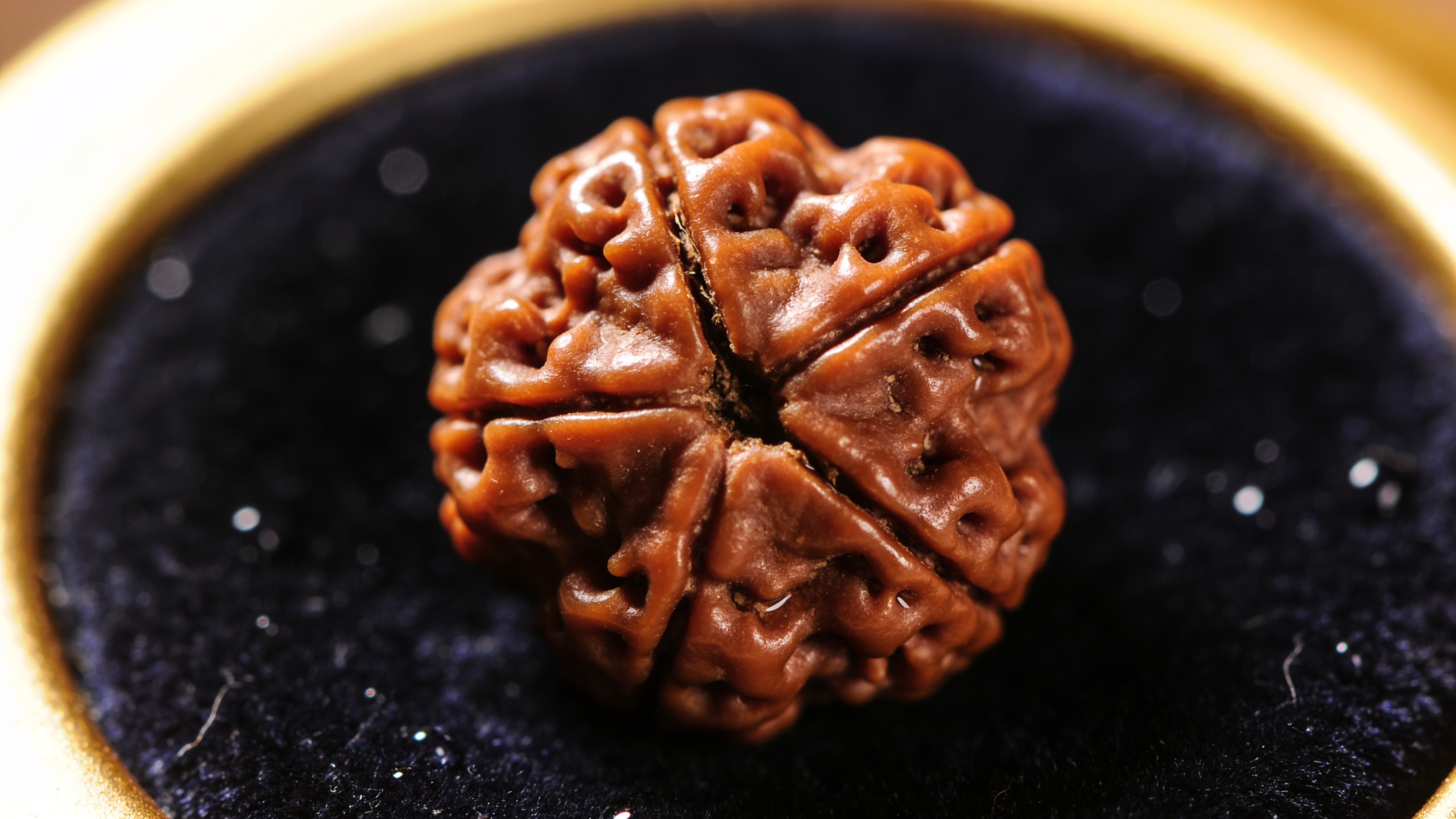 Natural Nepali 1 Mukhi Rudraksha bead showing a single face line — GemsMantra