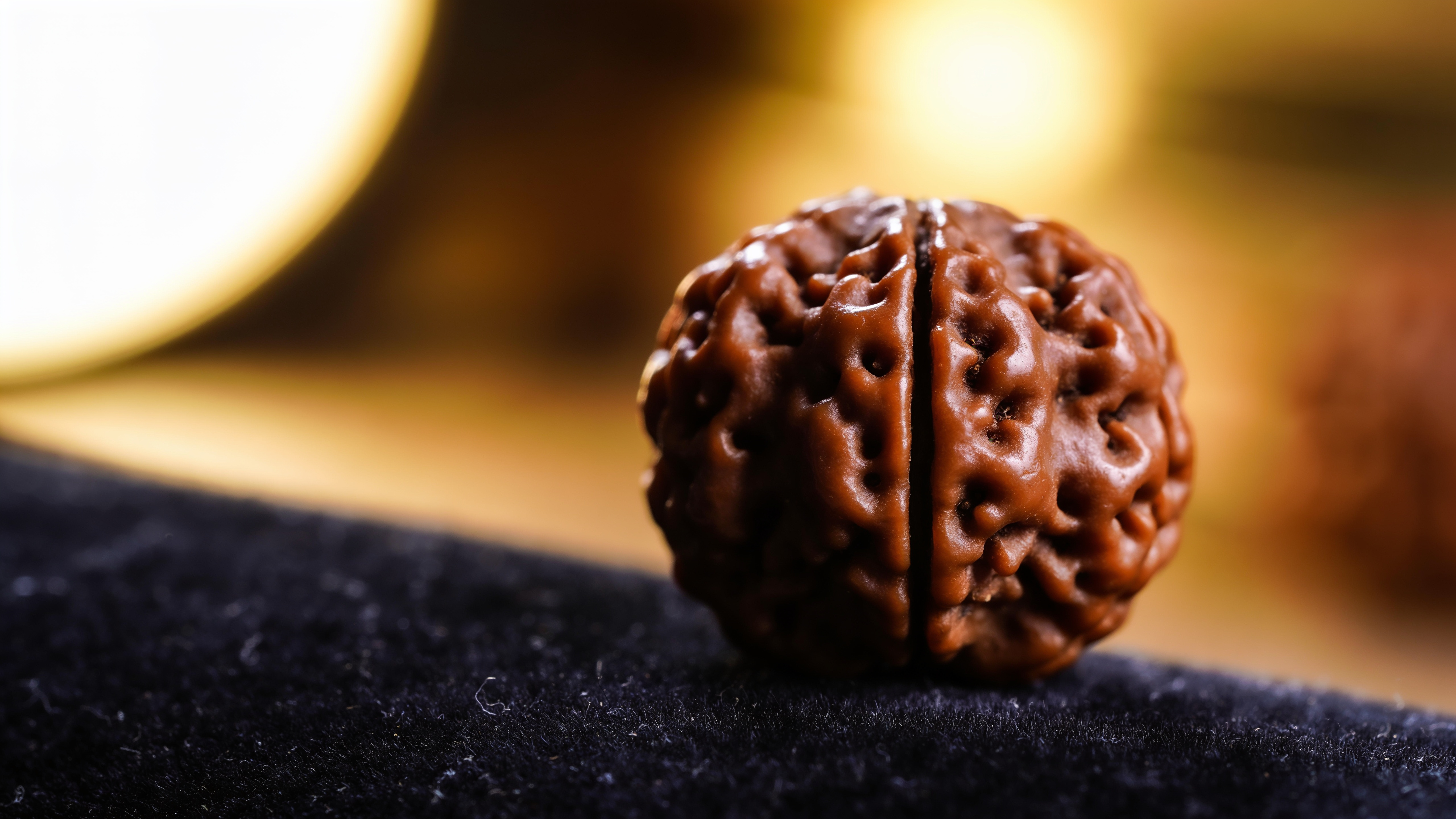 Natural Nepali 2 Mukhi Rudraksha bead showing two face lines — GemsMantra