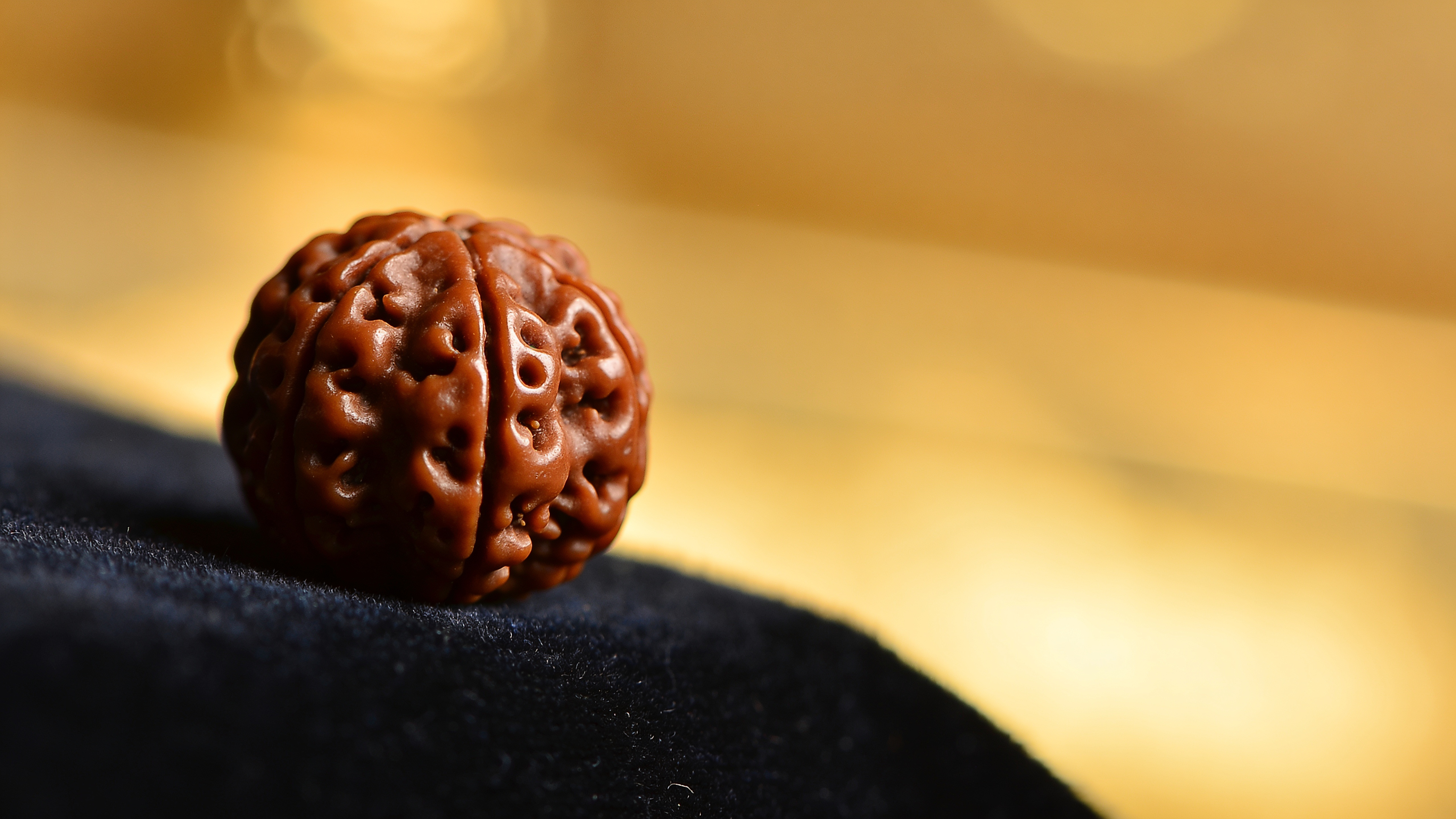 Natural Nepali 7 Mukhi Rudraksha bead showing seven face lines — GemsMantra