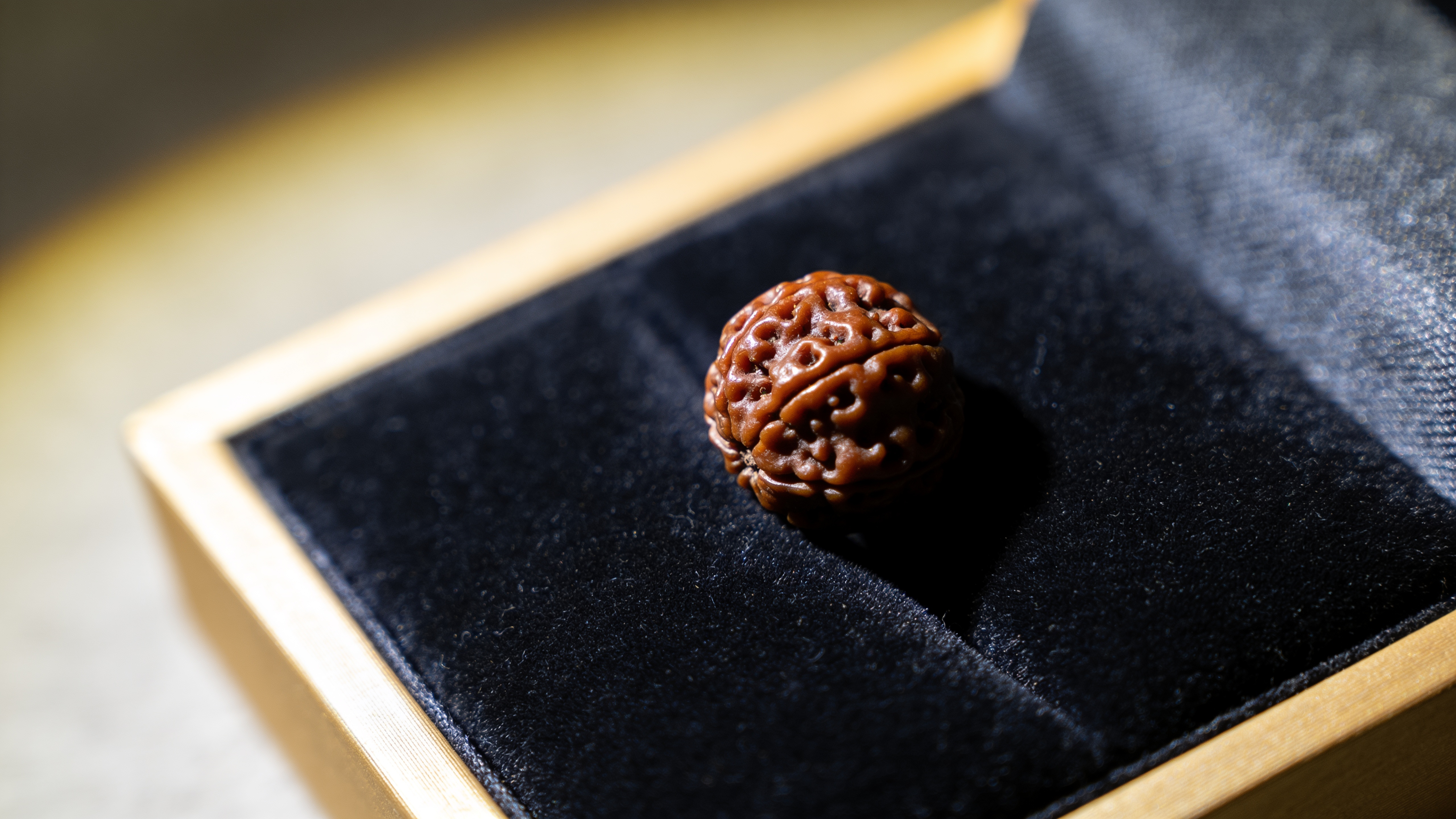 Natural Nepali 11 Mukhi Rudraksha bead showing eleven face lines — GemsMantra