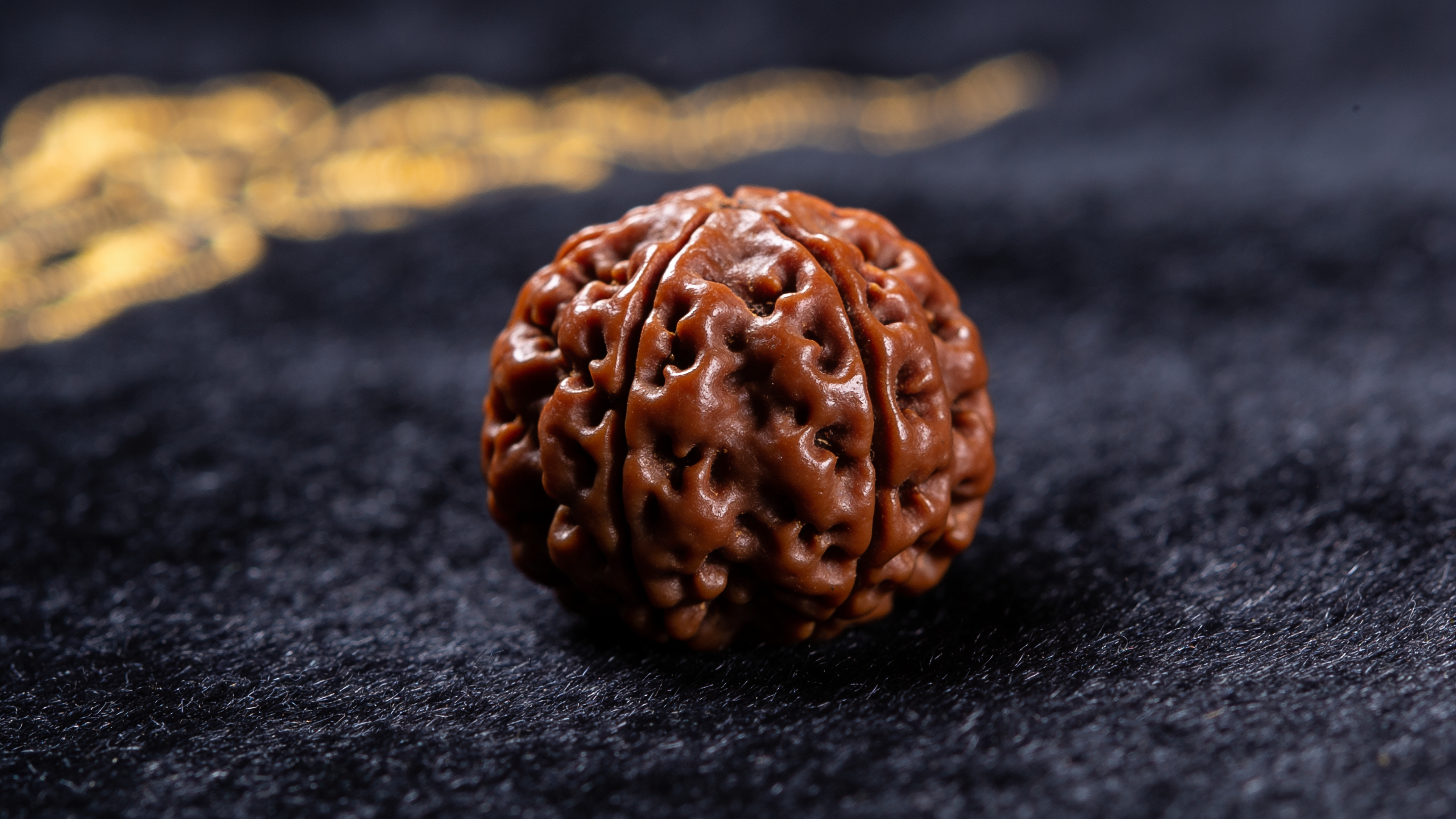 Natural Nepali 12 Mukhi Rudraksha bead showing twelve face lines — GemsMantra