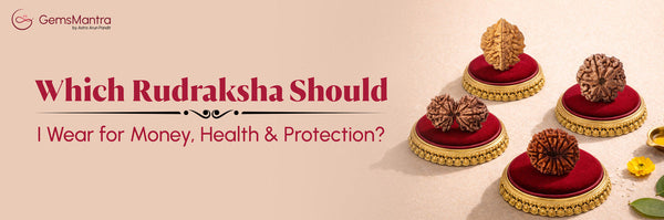 Which Rudraksha Should I Wear for Money, Health & Protection?