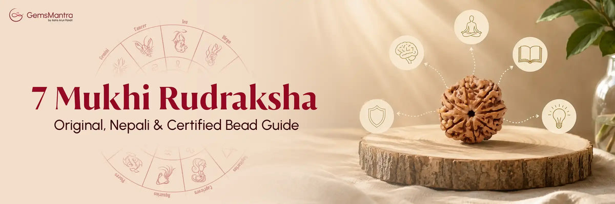7 Mukhi Rudraksha Price in India - Original, Nepali & Certified Bead Guide