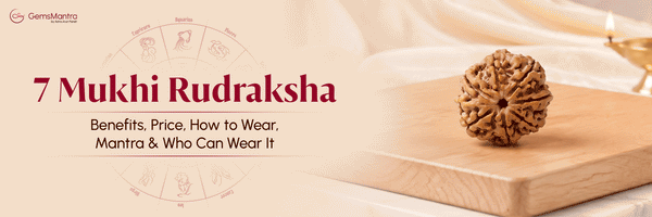 7 Mukhi Rudraksha: Benefits, Price, How to Wear, Mantra & Who Can Wear It