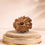 11 Mukhi Rudraksha 11