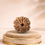 9 Mukhi Rudraksha