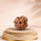 4 Mukhi Rudraksha 4