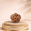 5 Mukhi Rudraksha