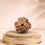 3 Mukhi Rudraksha 3