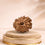 11 Mukhi Rudraksha