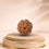 8 Mukhi Rudraksha 8