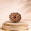 12 Mukhi Rudraksha 12