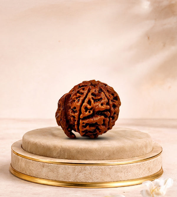 Natural Ganesh Rudraksha