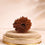 18 Mukhi Rudraksha 18