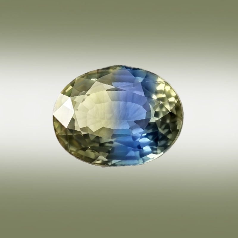 Pitambari Thumbnail