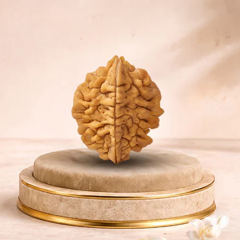 2 Mukhi