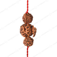 Rudraksha Kavach Combination