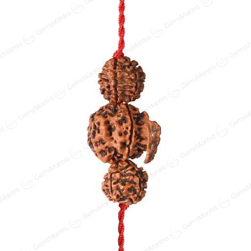 Rudraksha Kavach Combination
