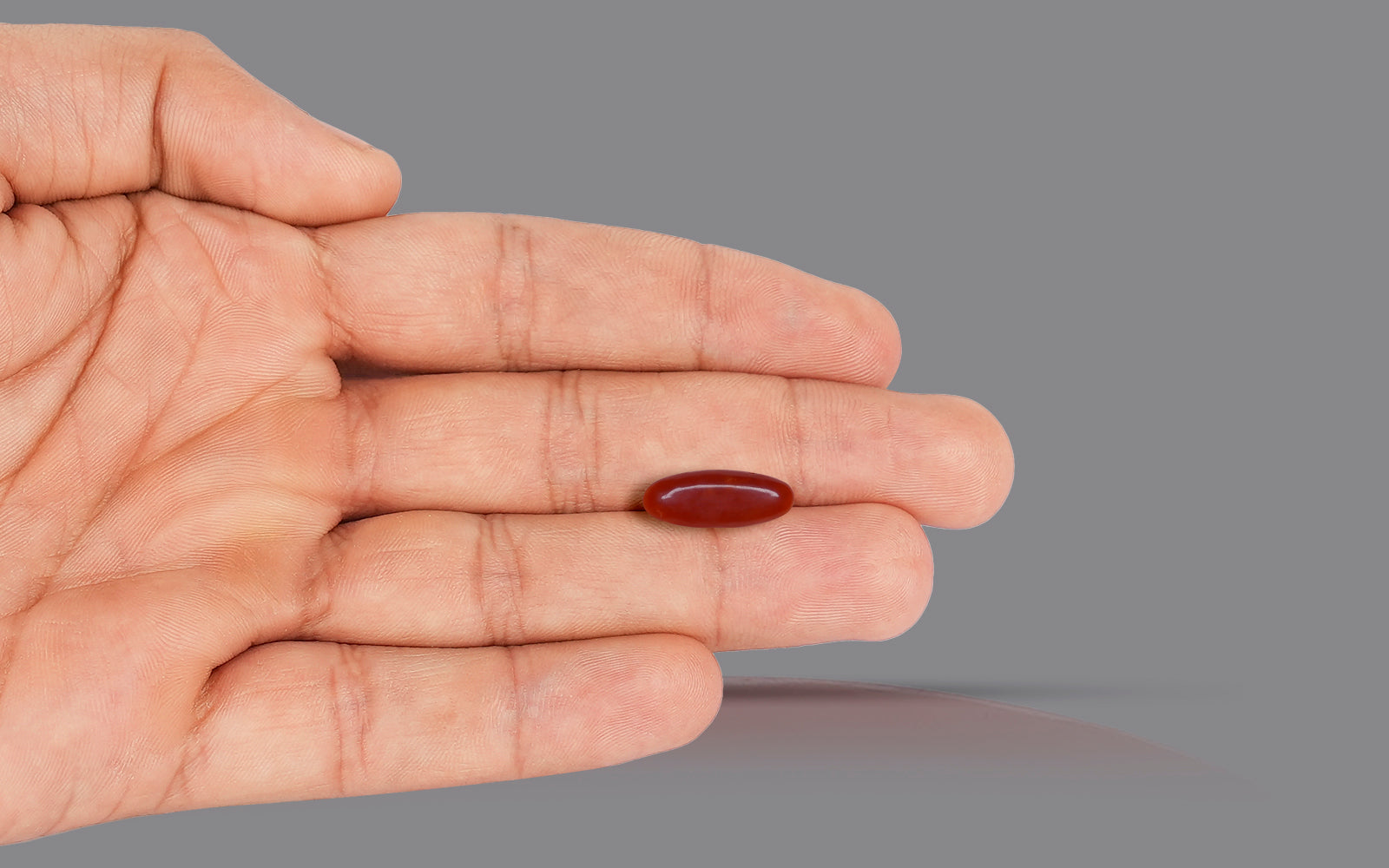 Red coral - Italian (4.10 Carats)