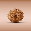 10 Mukhi