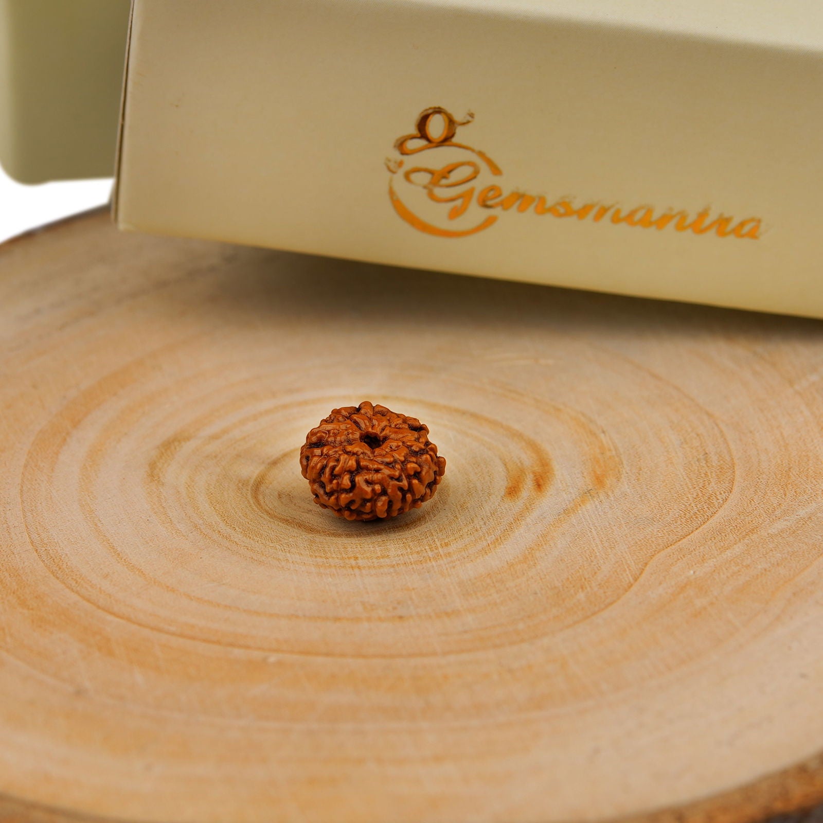 10 Mukhi Rudraksha (Indonesian Bead) - Gemsmantra