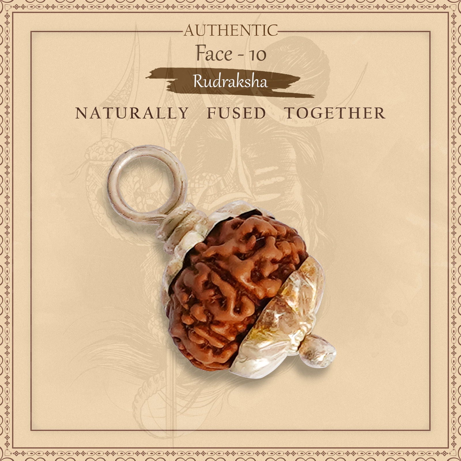 10 Mukhi Rudraksha (Indonesian Bead) - Gemsmantra