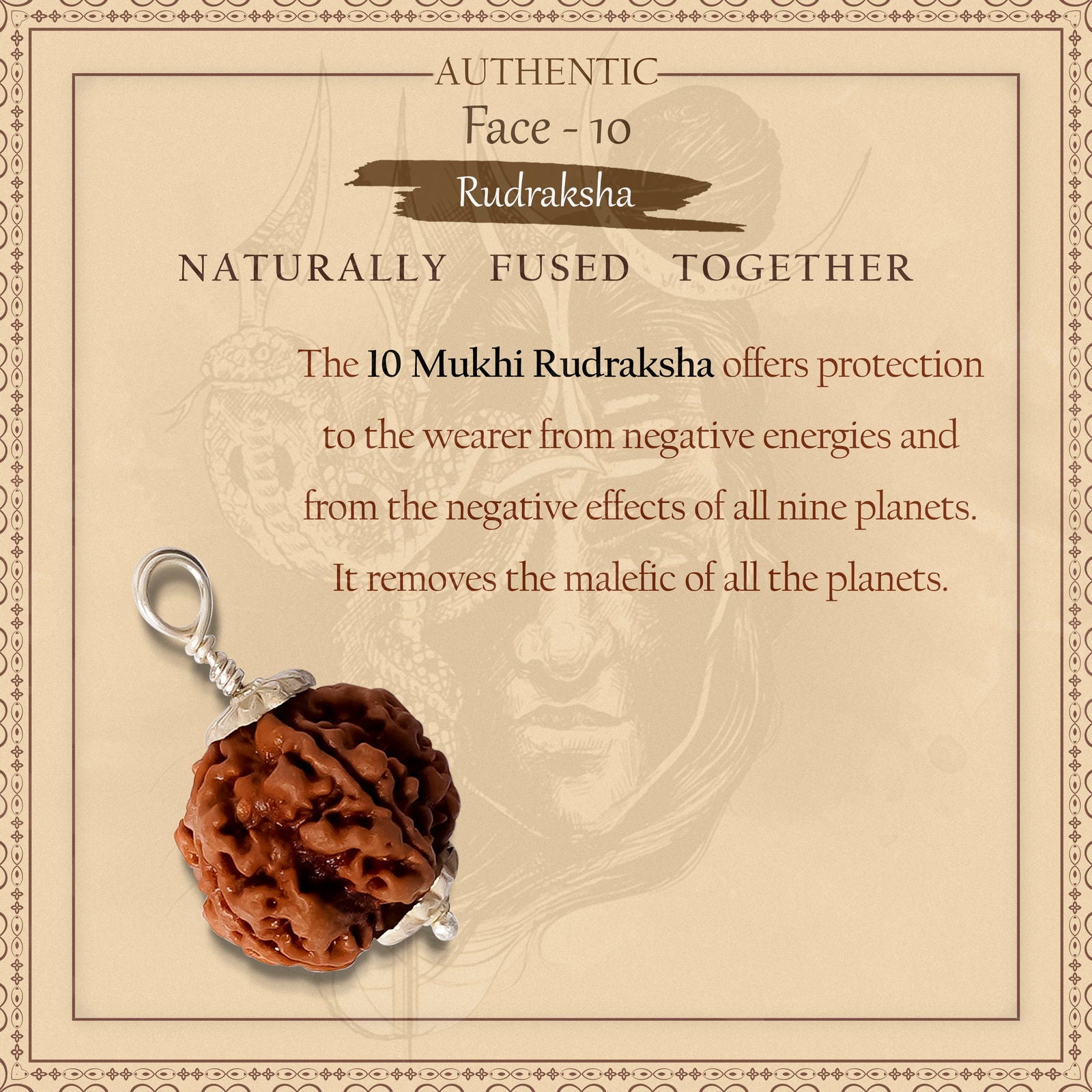 10 Mukhi Rudraksha (Indonesian Bead) - Gemsmantra