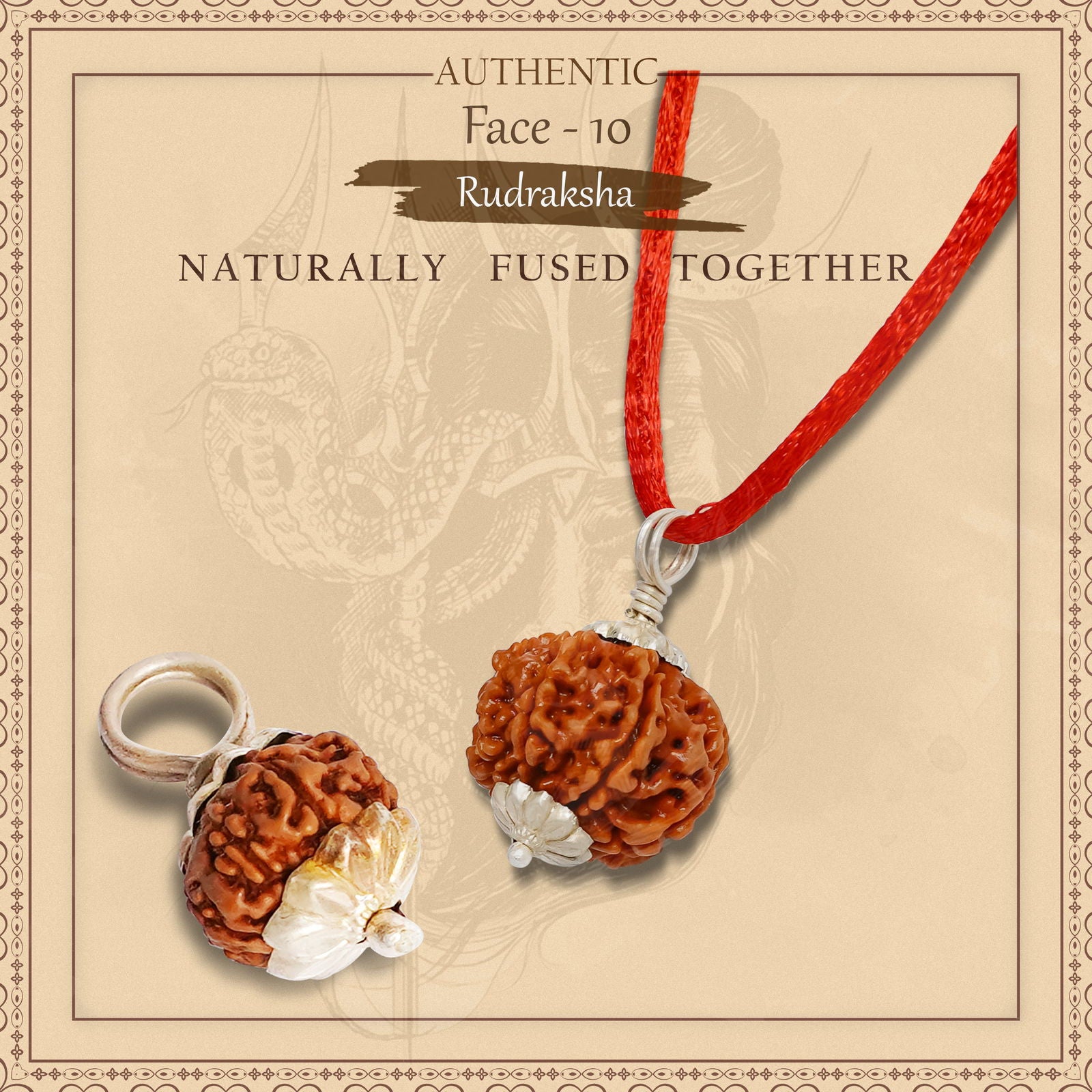 10 Mukhi Rudraksha (Indonesian Bead) - Gemsmantra