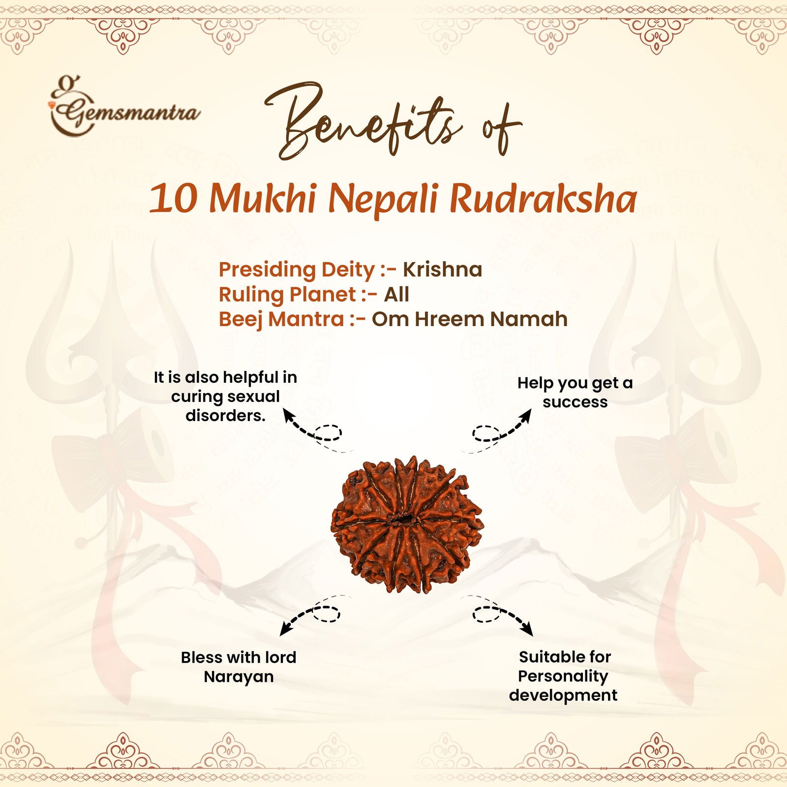 10 Mukhi Rudraksha (Nepali) - Gemsmantra