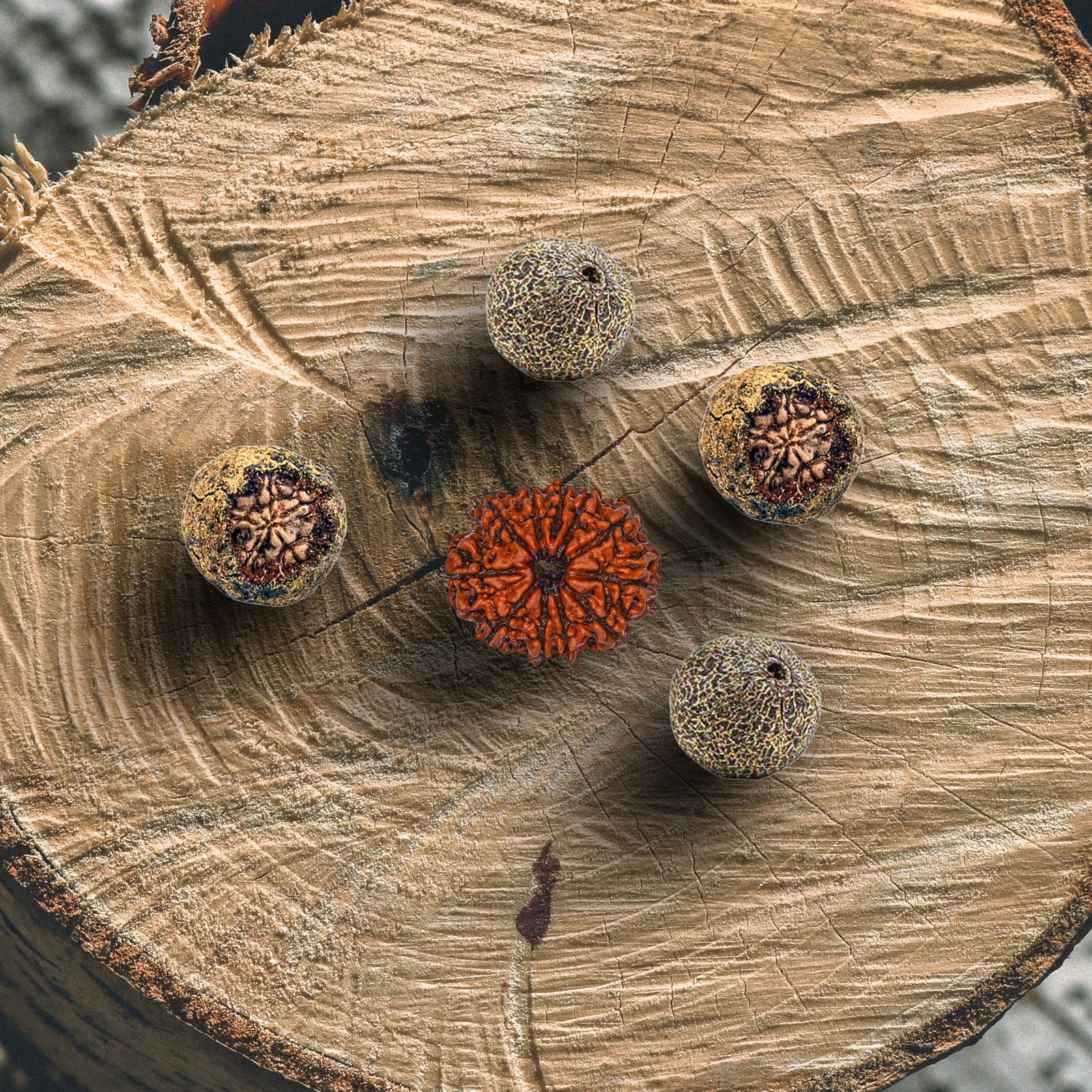 11 Mukhi Rudraksha (Nepali) - Gemsmantra