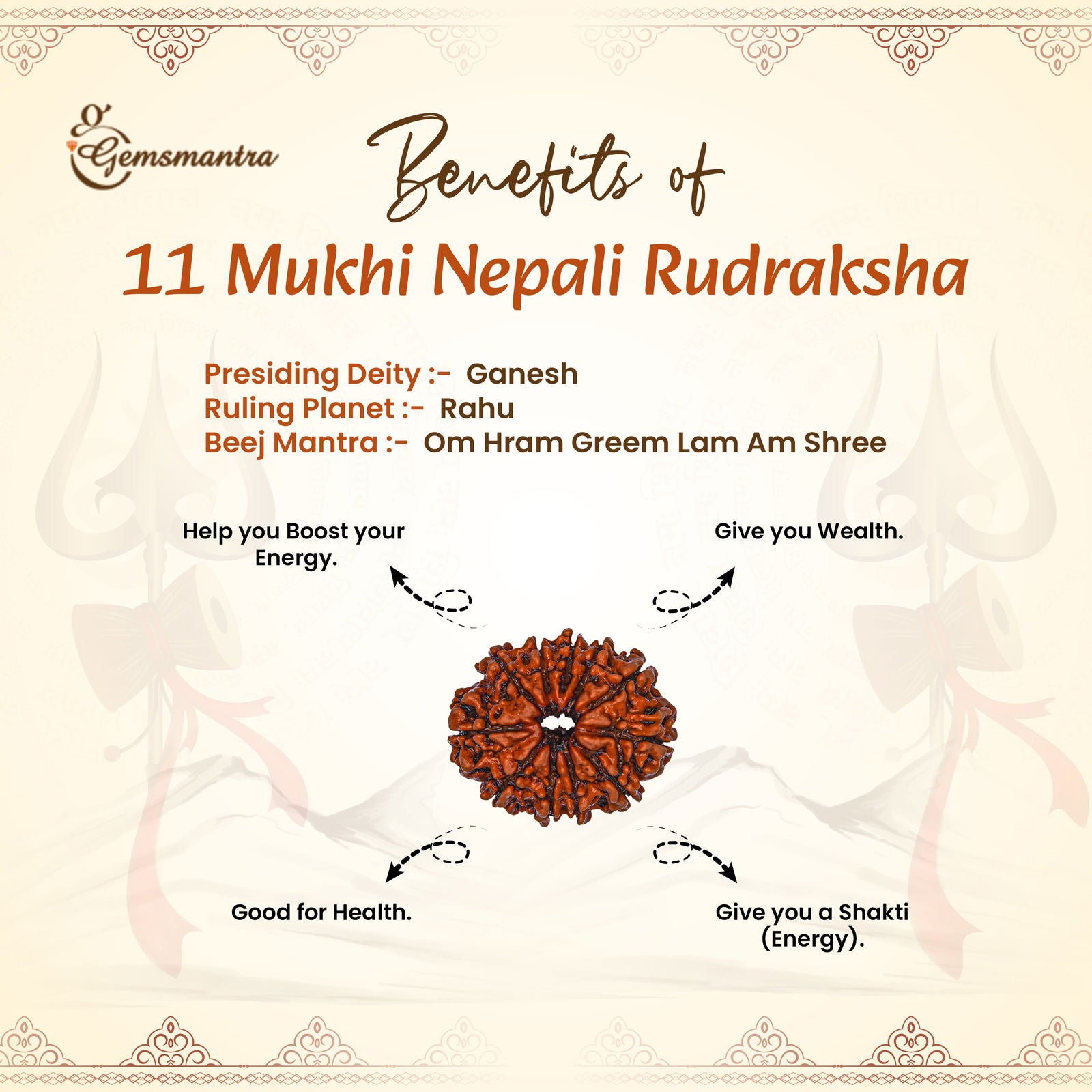 11 Mukhi Rudraksha (Nepali) - Gemsmantra