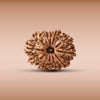 12 Mukhi