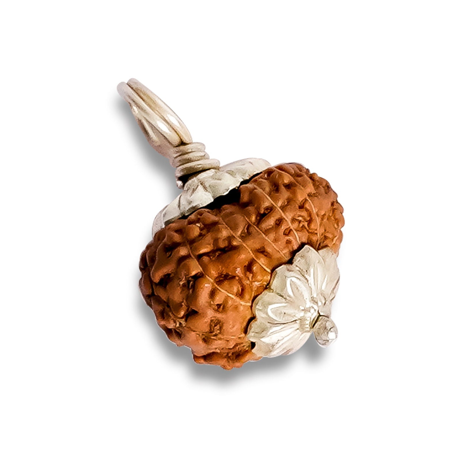 12 Mukhi Rudraksha (Indonesian Bead) - Gemsmantra