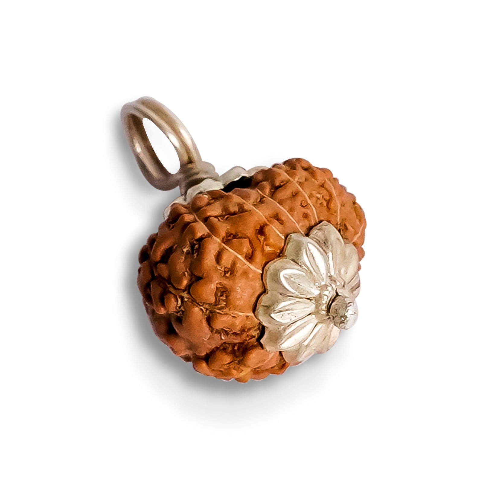 12 Mukhi Rudraksha (Indonesian Bead) - Gemsmantra