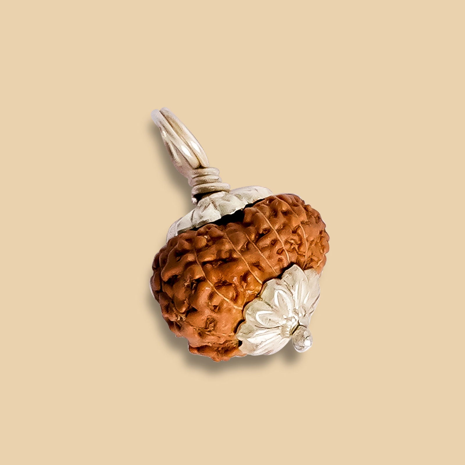 12 Mukhi Rudraksha (Indonesian Bead) - Gemsmantra