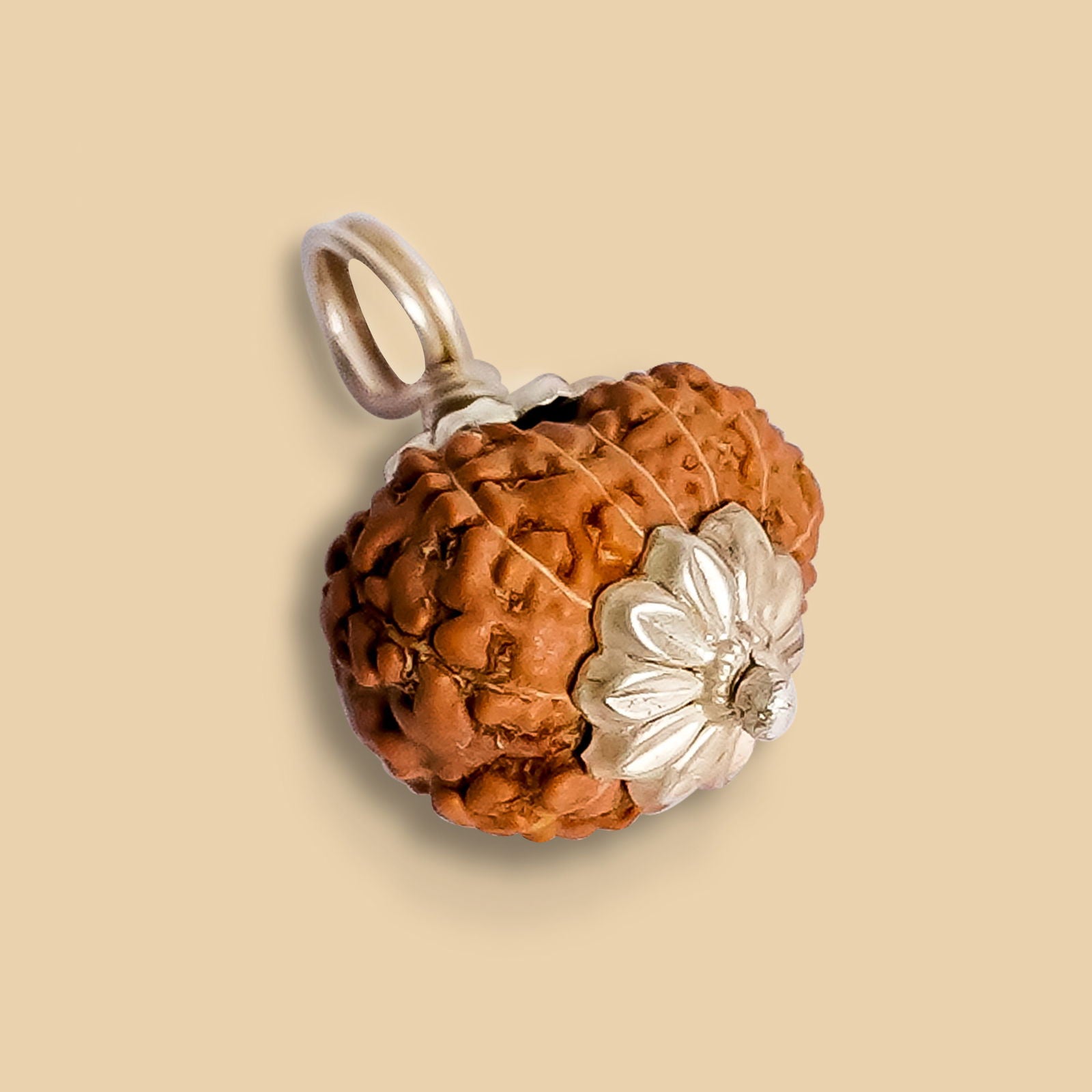 12 Mukhi Rudraksha (Indonesian Bead) - Gemsmantra