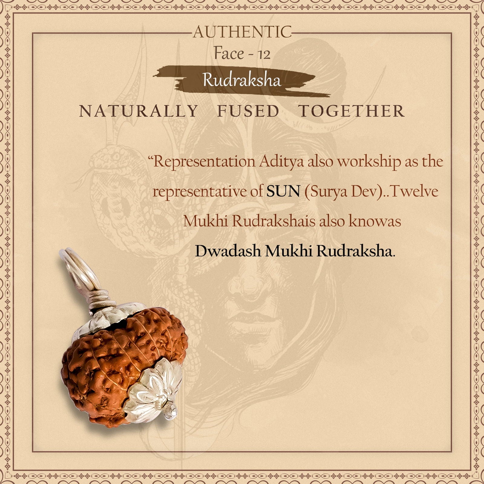 12 Mukhi Rudraksha (Indonesian Bead) - Gemsmantra