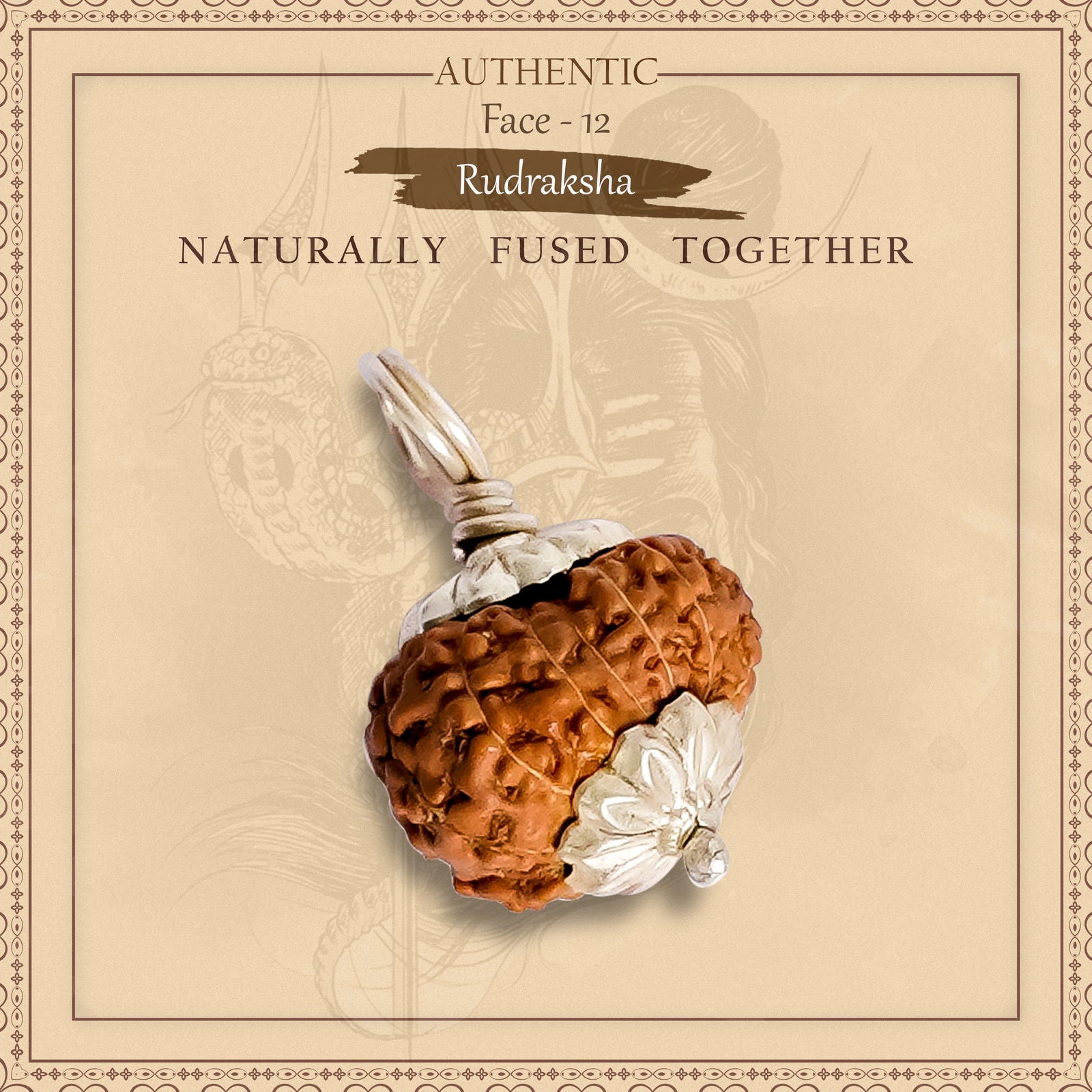 12 Mukhi Rudraksha (Indonesian Bead) - Gemsmantra