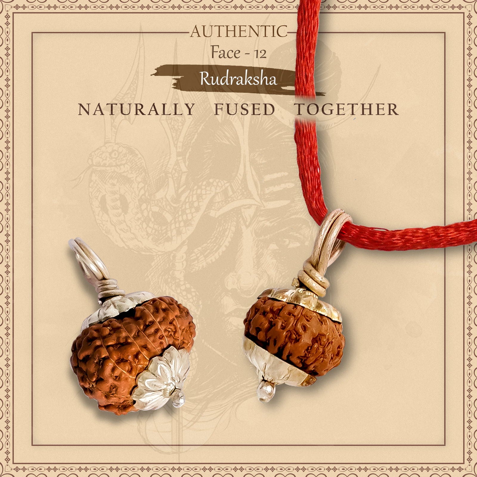 12 Mukhi Rudraksha (Indonesian Bead) - Gemsmantra