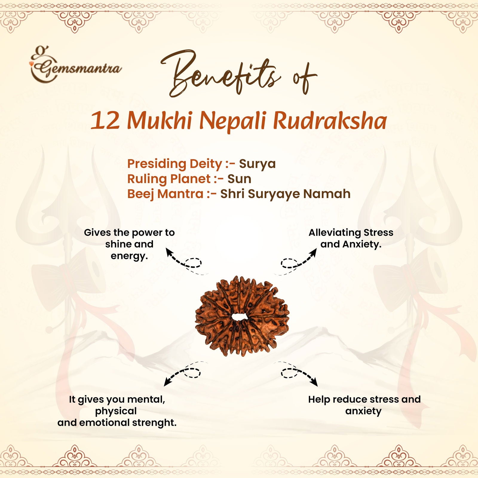 12 Mukhi Rudraksha (Nepali) - Gemsmantra