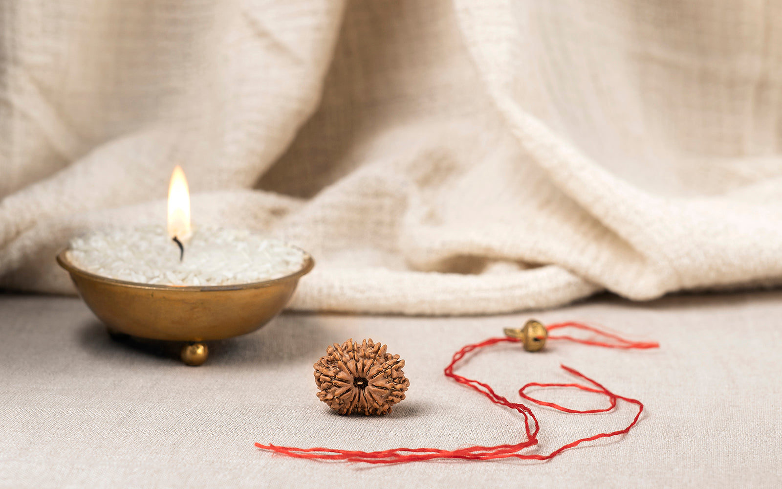 12 Mukhi Rudraksha (Nepali)