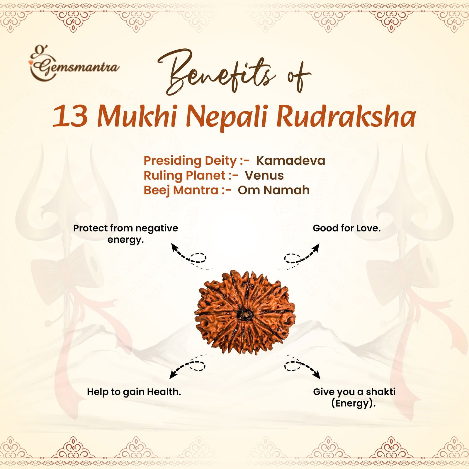 13 Mukhi Rudraksha (Nepali) - Gemsmantra