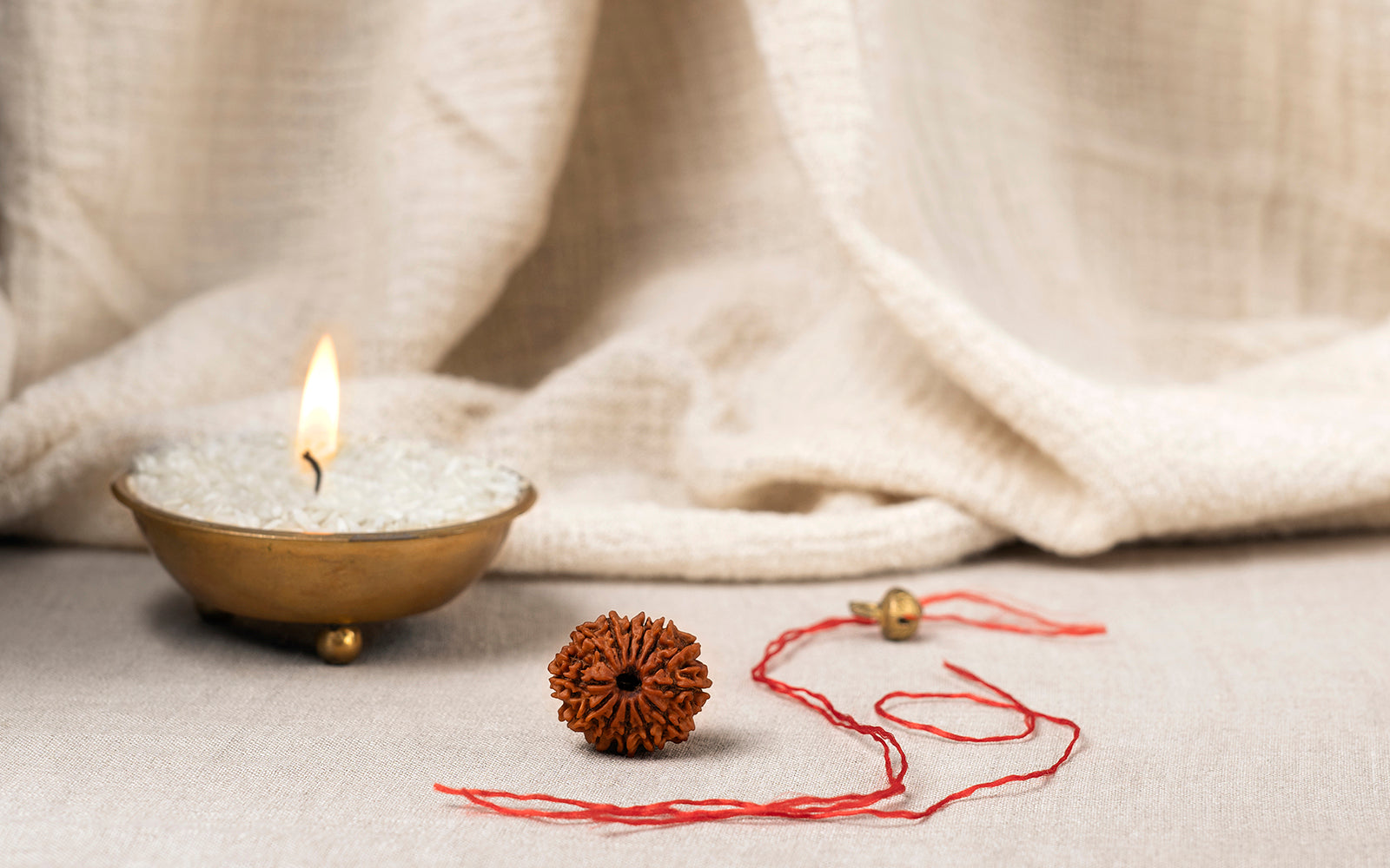 13 Mukhi Rudraksha (Nepali)