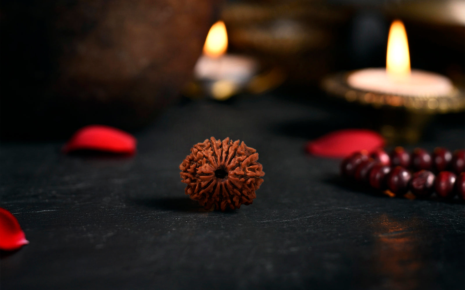 13 Mukhi Rudraksha (Nepali)