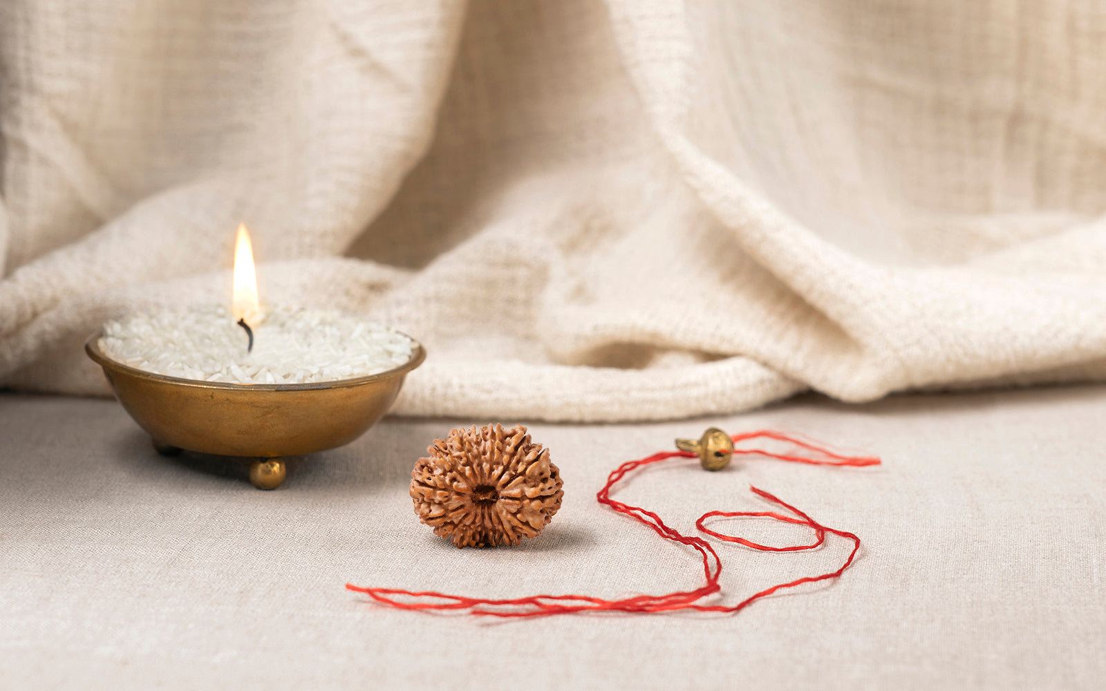 14 Mukhi Rudraksha (Nepali)