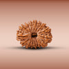 15 Mukhi