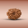 16 Mukhi